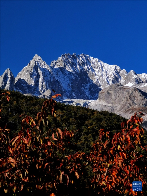 1310316631_16371415058881n