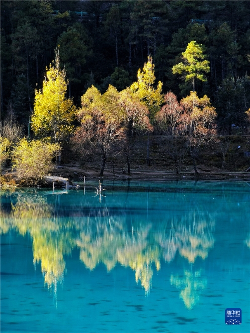 1310316631_16371415070021n