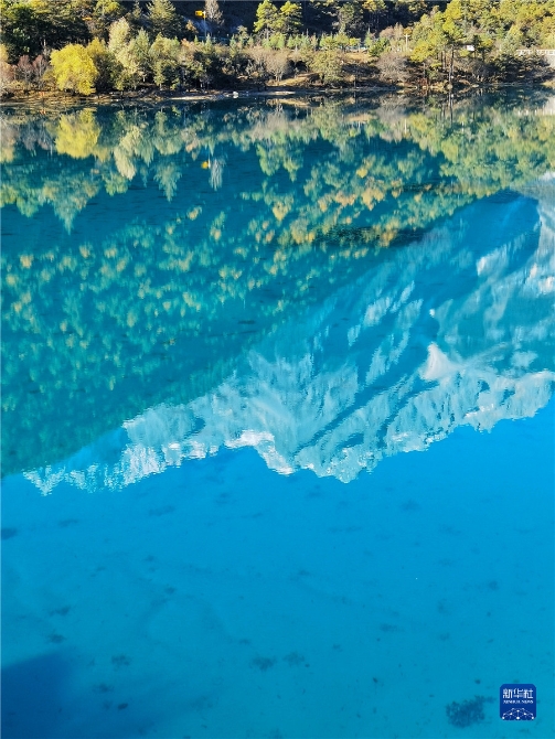 1310316631_16371415068011n