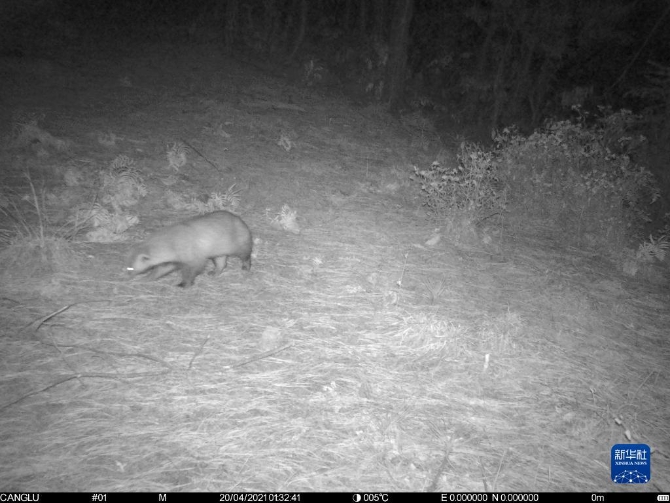 1310316236_16371290970711n 1310316236_16371290970711n