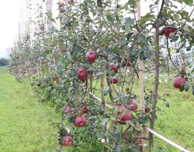 419dc31d-6c9f-4b12-9c8b-9a7db36a2df9