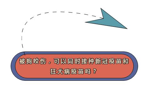 QQ截圖20211119142042 QQ截圖20211119142042