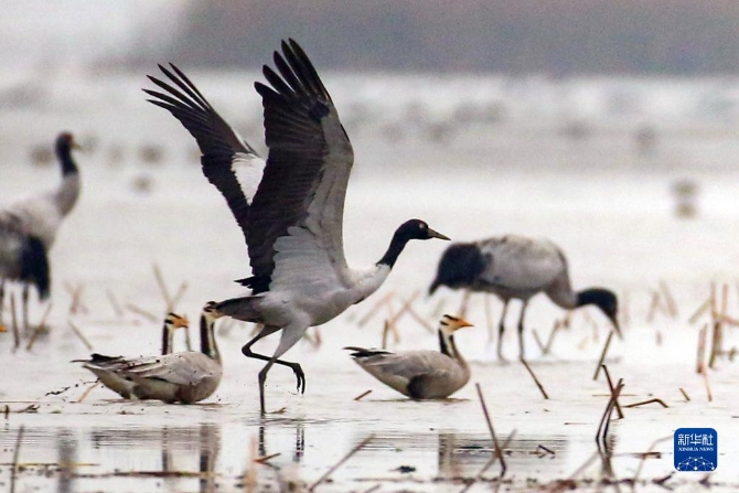 f44d30758ab022fffc3c32