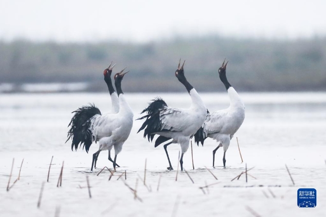 f44d30758ab022fffce239