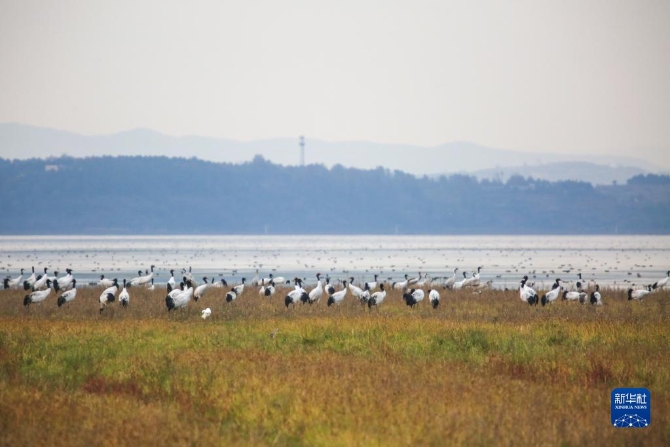 f44d30758ab022fffce33b