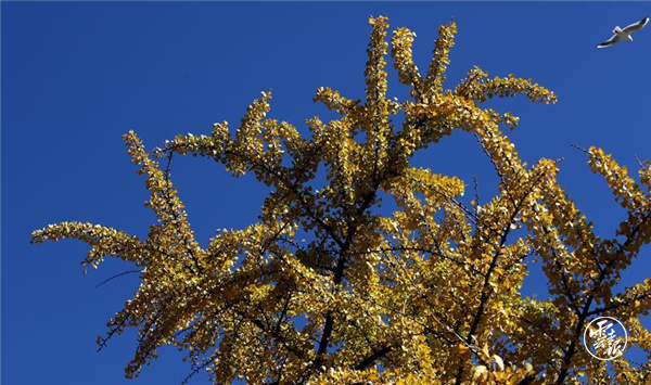 code_ynrb3cccfda4-3d20-4933-9497-f69f120269ac code_ynrb3cccfda4-3d20-4933-9497-f69f120269ac