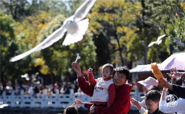 code_ynrb9e63880e-1ef6-49eb-aa28-689170f61eee code_ynrb9e63880e-1ef6-49eb-aa28-689170f61eee