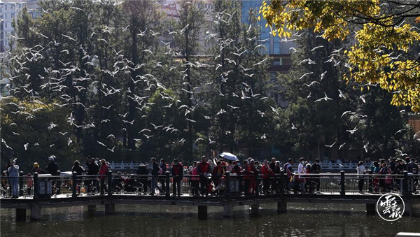 code_ynrb915bc7c1-552b-4e35-9df5-b27c5997af35 code_ynrb915bc7c1-552b-4e35-9df5-b27c5997af35