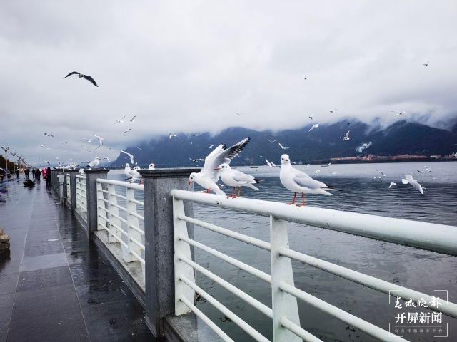 WeChat 圖片_20211122231306