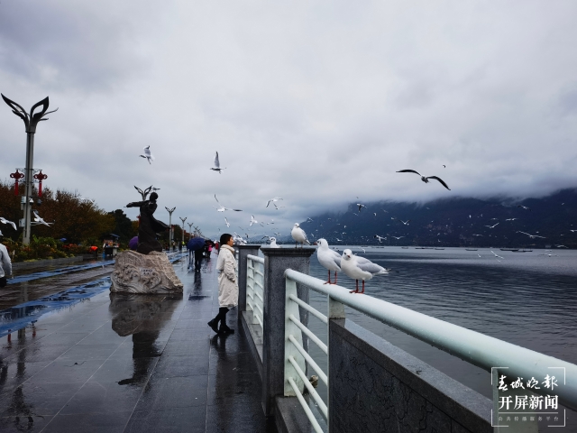 WeChat 圖片_20211122231309