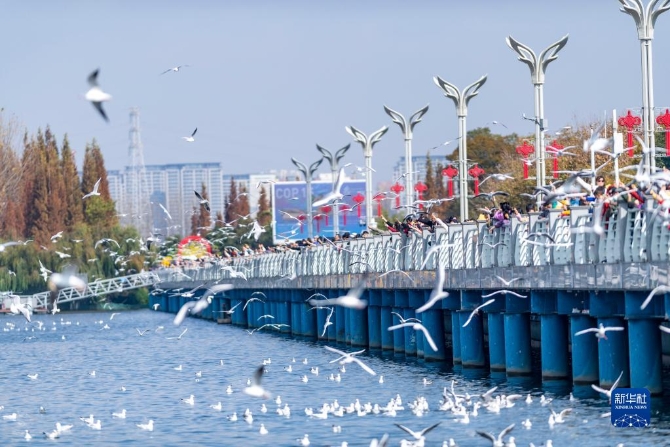 1310324929_16375424592201n