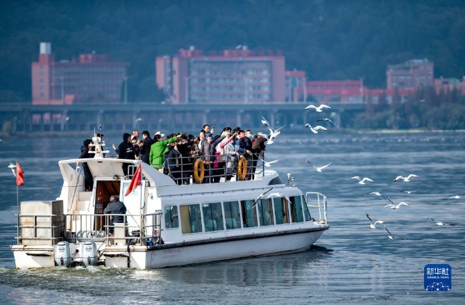 1310324929_16375424592571n