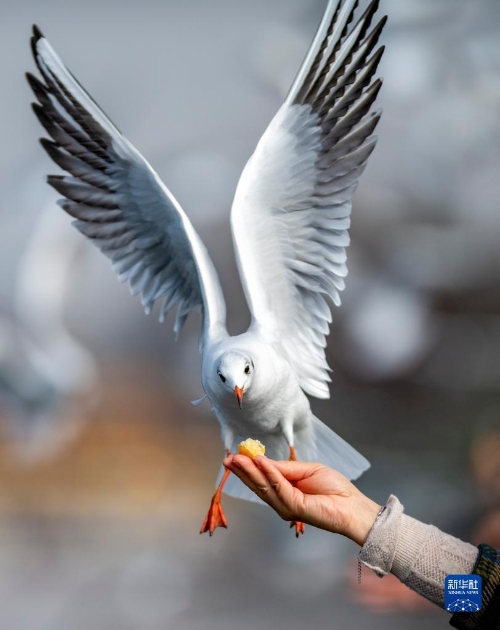 1310324929_16375424593241n