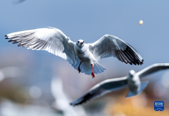 1310324929_16375424593591n