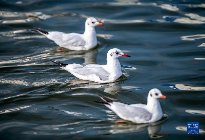 1310324929_16375424593901n