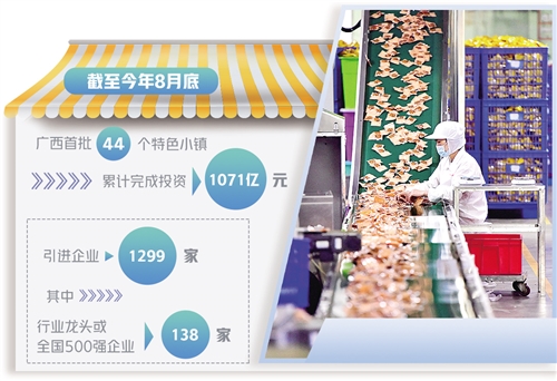 W020211111356746645128