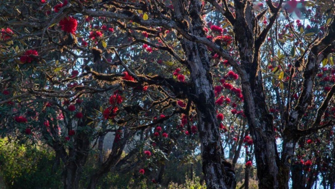 086e96c127f045a1911afba15ef8d7e2 086e96c127f045a1911afba15ef8d7e2