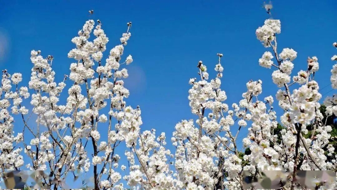 abbe29de16ba4f89b89e0b98928daa65 abbe29de16ba4f89b89e0b98928daa65