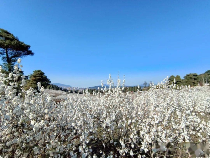 ca7e36e6285743199f5eba45e444cbae ca7e36e6285743199f5eba45e444cbae