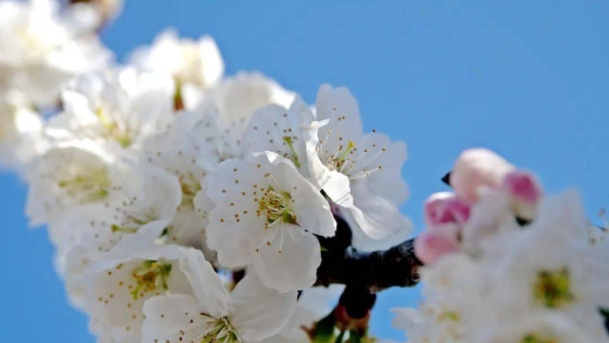 e37a78945ef548ce876ff6aaa38bc57e e37a78945ef548ce876ff6aaa38bc57e