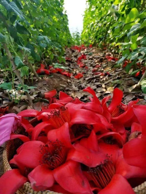 ed9b48b1323e403f99f5817be645040b ed9b48b1323e403f99f5817be645040b