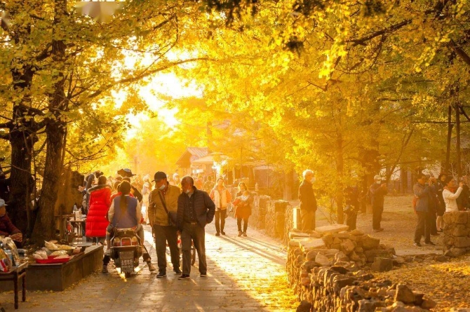 cac8fed2193a4f7a845bea9fc064d3bc cac8fed2193a4f7a845bea9fc064d3bc