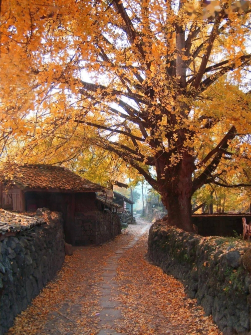 2288839dd97a4851a7c78c58e96e211c 2288839dd97a4851a7c78c58e96e211c