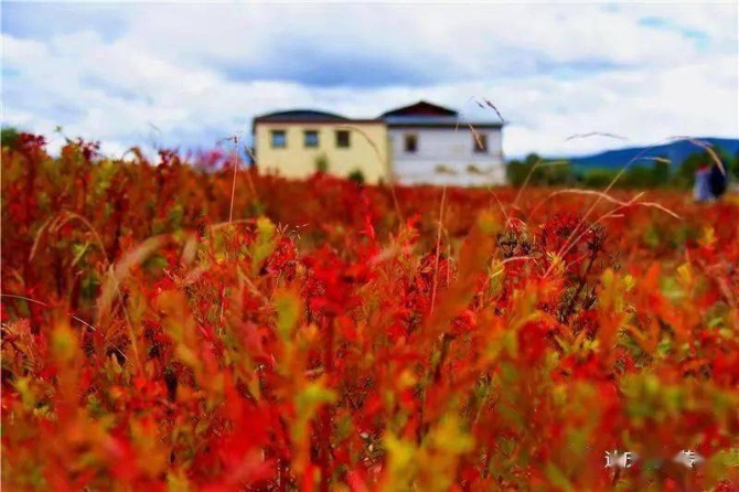 a8cb6a23b16f4f55b47ba646369bdb23 a8cb6a23b16f4f55b47ba646369bdb23