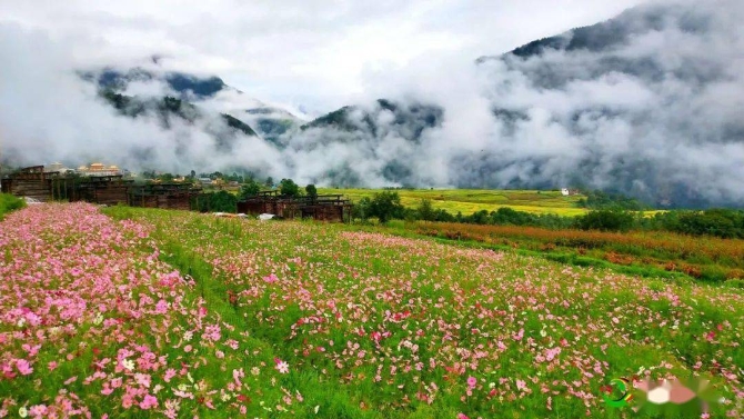 b6709cfc81f04bd2b2f3bf0b85296a1c b6709cfc81f04bd2b2f3bf0b85296a1c