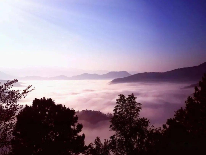 98d252e00a0c4ff49f2b6db0004ee77f 98d252e00a0c4ff49f2b6db0004ee77f