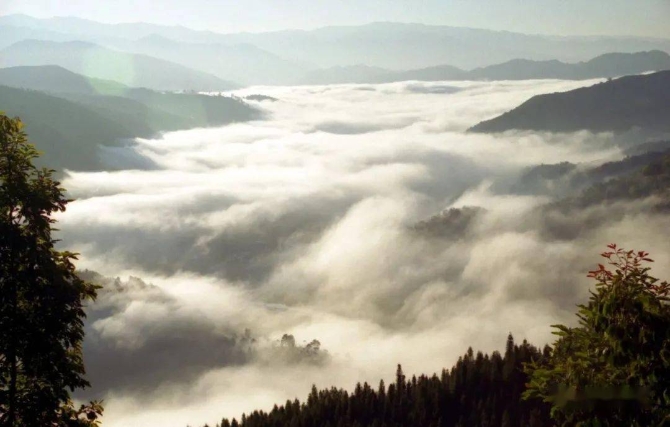 1d8e5940236d4fb39412ccea873a8be0 1d8e5940236d4fb39412ccea873a8be0