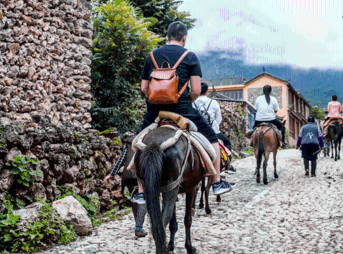 86c4d68167ef4e58b202330de3f6ce84 86c4d68167ef4e58b202330de3f6ce84