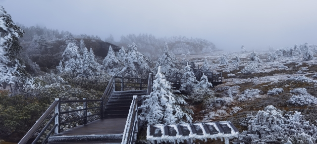 20211123155959R0T3A0