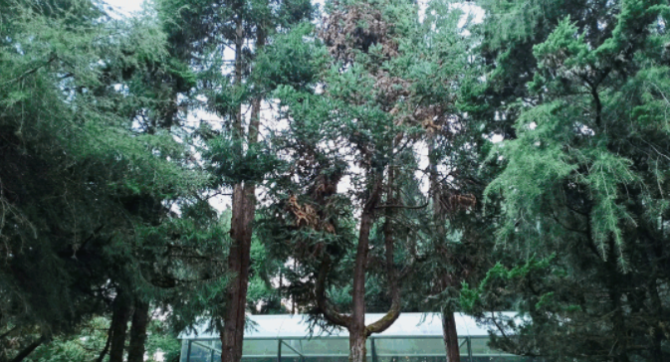 QQ截圖20211124201839 QQ截圖20211124201839