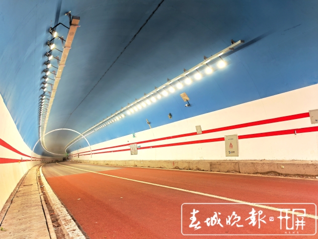 202111151046255P198S