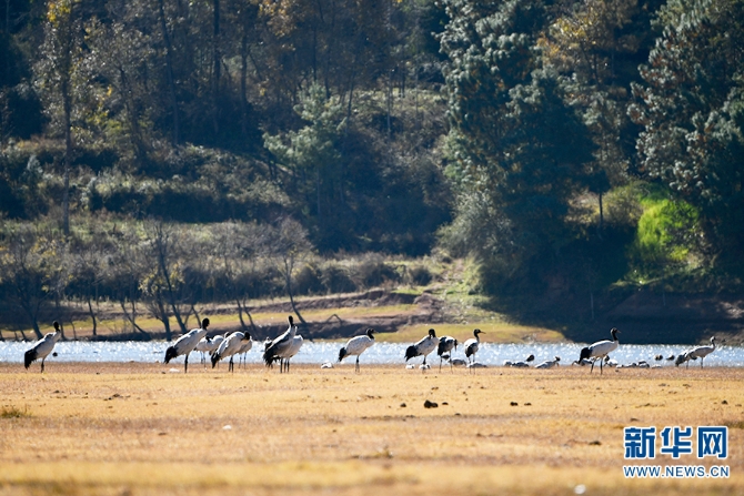 1310329407_16377166097081n