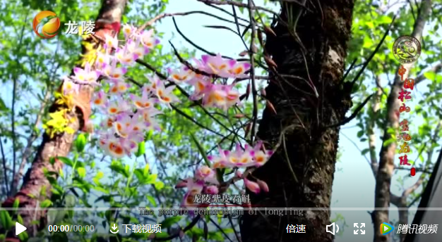 點(diǎn)擊查看視頻