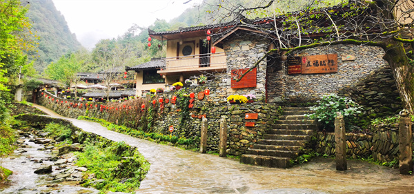 115444_b19186f6-fe65-4d96-a28b-d31ac81ce417