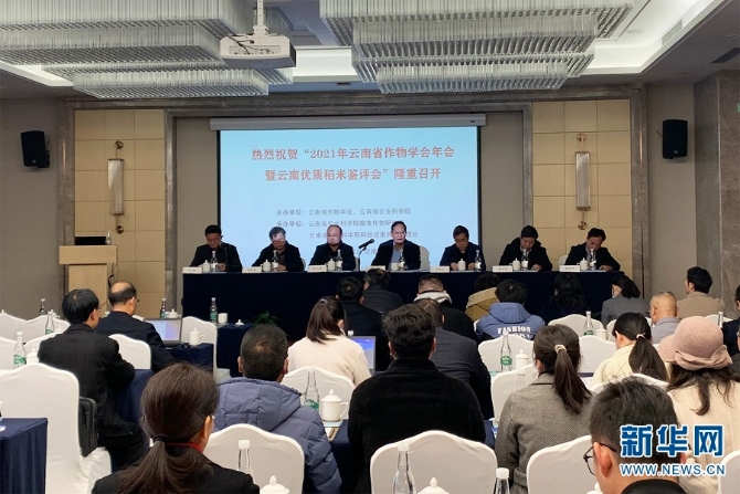 1310335029_16379250013631n