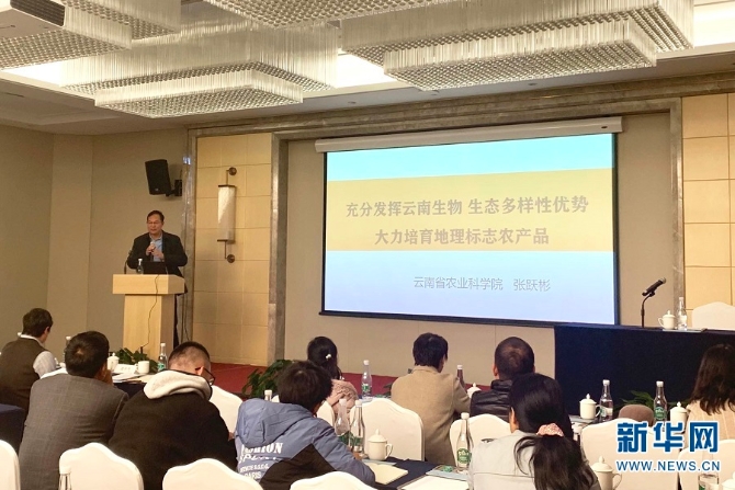 1310335029_16379250014041n