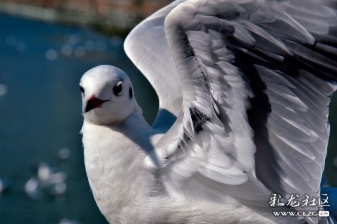 16372529285365908778577976069_181991 16372529285365908778577976069_181991