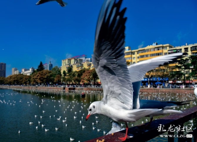 16372545266571308255856965611_181991 16372545266571308255856965611_181991