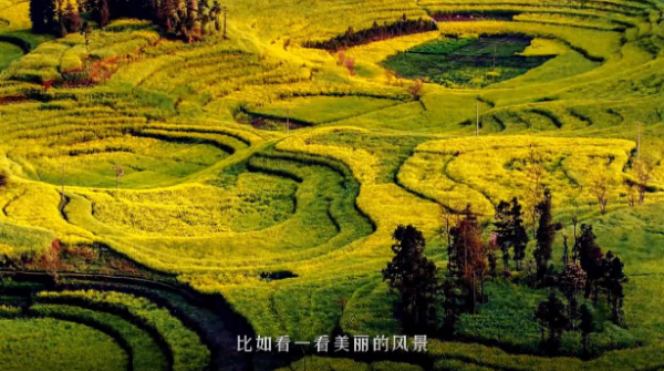 00304316795_8009ab3c 00304316795_8009ab3c