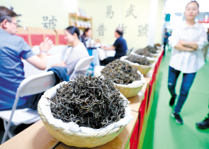 98001638211313350 98001638211313350