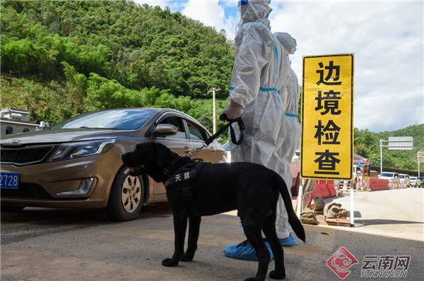 00304318748_492e8cba