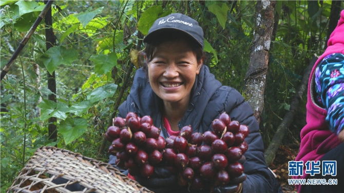 1310340522_16381801629671n 1310340522_16381801629671n