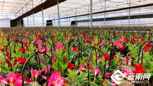 f703738da9773912d1977ccda2fc0611347ae2dc f703738da9773912d1977ccda2fc0611347ae2dc