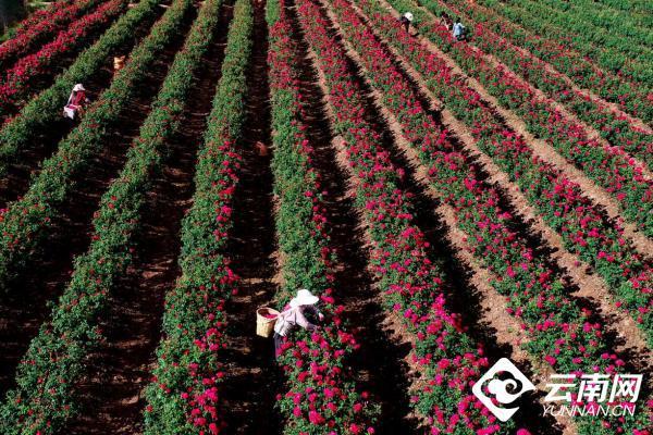 35a85edf8db1cb13f57800fc87b1d64793584b3e 35a85edf8db1cb13f57800fc87b1d64793584b3e