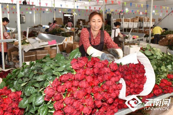 03087bf40ad162d97110928e4c3a29e58813cd91 03087bf40ad162d97110928e4c3a29e58813cd91