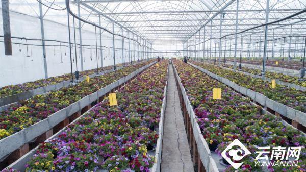 38dbb6fd5266d01689a72989ccce540e37fa35c7 38dbb6fd5266d01689a72989ccce540e37fa35c7